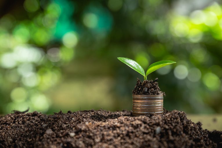 Το greenwashing το επόμενο ζήτημα των διεθνών αγορών