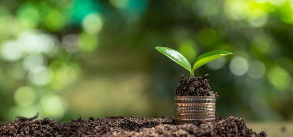 Το greenwashing το επόμενο ζήτημα των διεθνών αγορών Το greenwashing το επόμενο ζήτημα των διεθνών αγορών