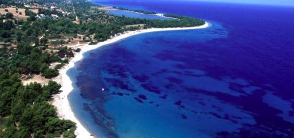 Πήρε το Παλιούρι ο Σαββίδης, χάνει το προπονητικό κέντρο στη Θέρμη Πήρε το Παλιούρι ο Σαββίδης, χάνει το προπονητικό κέντρο στη Θέρμη