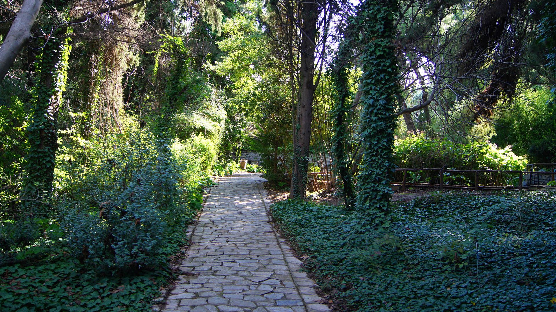 Αποτελεσματικότεροι οι βοτανικοί κήποι για τη μείωση της θερμοκρασίας στις πόλεις 
