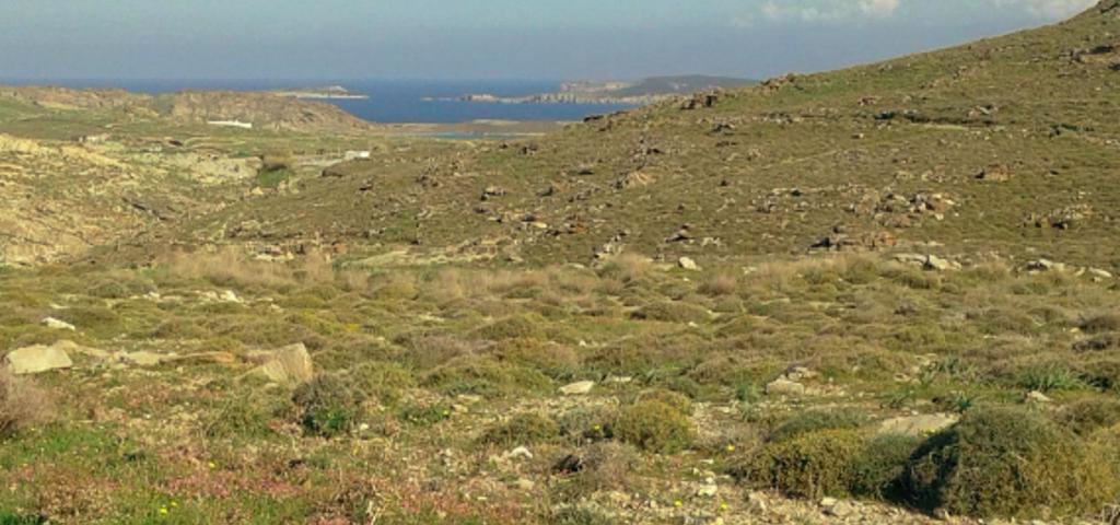 Στην τελική ευθεία το μεγάλο project της ΕΚΤΕΡ στις Κολυμπήθρες της Πάρου Στην τελική ευθεία το μεγάλο project της ΕΚΤΕΡ στις Κολυμπήθρες της Πάρου