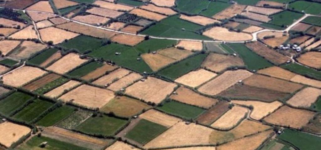 Land Registry platform use available on pilot mode to bailiffs in charge Land Registry platform use available on pilot mode to bailiffs in charge