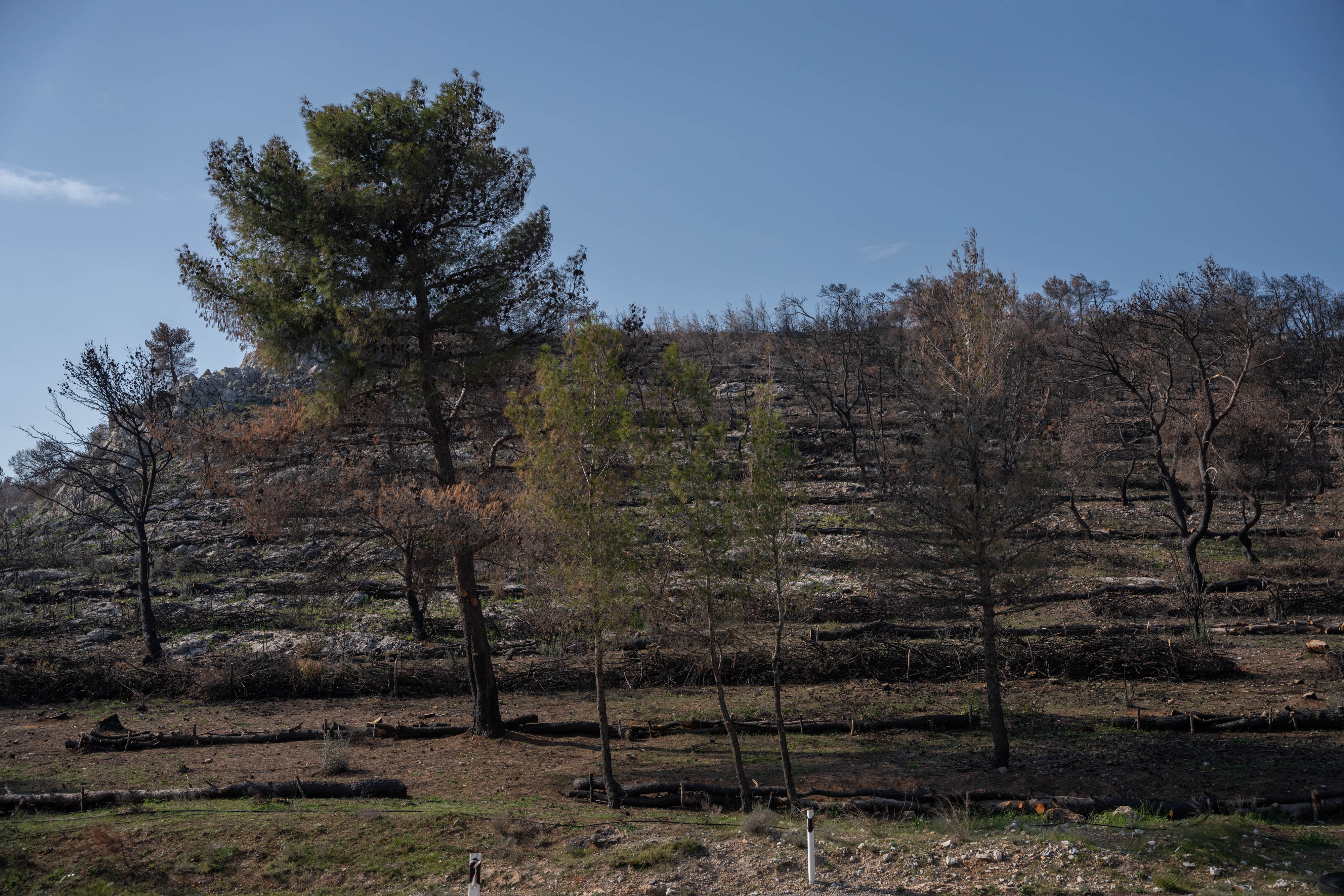 Χρηματοδότηση αντιδιαβρωτικών έργων €1 εκατ. από την ΤΕΡΝΑ σε περιοχές της Μάνδρας