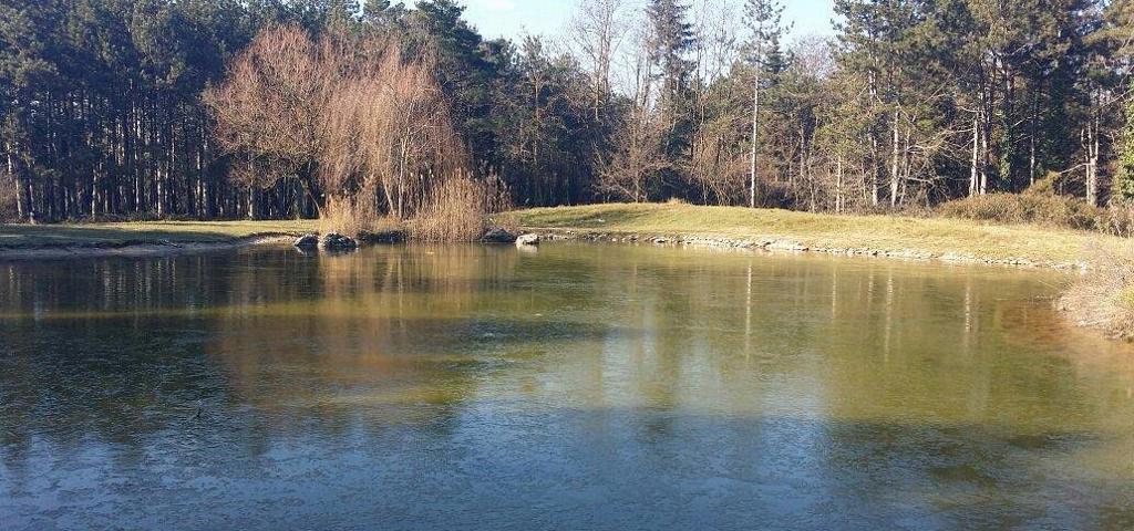 Authorities approve the Ioannina Pyrsinella park's refurbishment