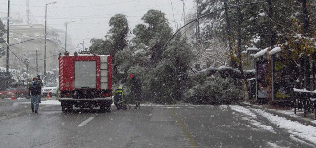 Αποζημιώνονται από το δήμο Αθηναίων οι ζημίες από πτώσεις δένδρων Αποζημιώνονται από το δήμο Αθηναίων οι ζημίες από πτώσεις δένδρων