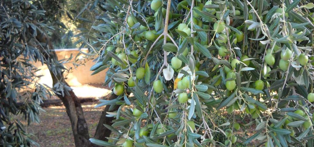 Στις 4 Σεπτεμβρίου ο διαγωνισμός της Π.Ε. Σερρών για εκμίσθωση 5 ακινήτων Στις 4 Σεπτεμβρίου ο διαγωνισμός της Π.Ε. Σερρών για εκμίσθωση 5 ακινήτων