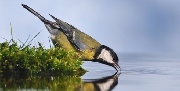Στα 10 στρέμματα η αρτιότητα στις Natura Στα 10 στρέμματα η αρτιότητα στις Natura
