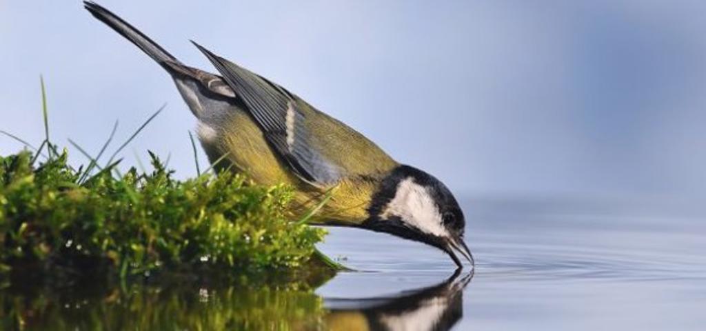 Στα 10 στρέμματα η αρτιότητα στις Natura Στα 10 στρέμματα η αρτιότητα στις Natura