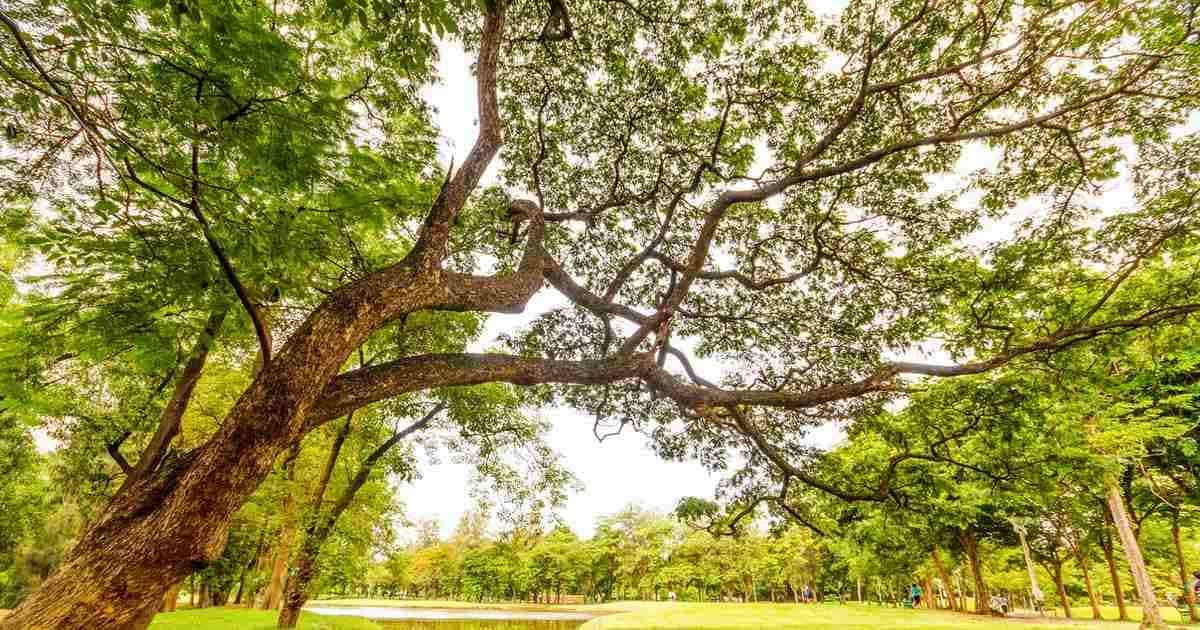 Σε διαβούλευση η ΕΠΜ, οι περιοχές «Natura 2000» της Περιφέρειας  Αττικής