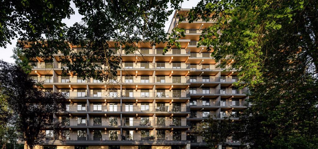 Affordable housing made of solid timber in Rotterdam Affordable housing made of solid timber in Rotterdam
