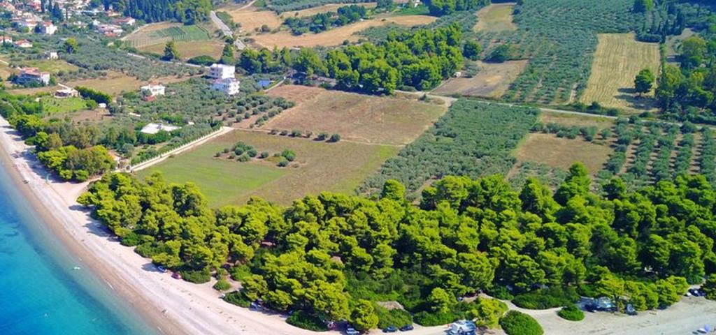 Στο ΣτΕ (ξανά) η πολεοδομική μελέτη του οικισμού των Δικαστών στις Ροβιές Στο ΣτΕ (ξανά) η πολεοδομική μελέτη του οικισμού των Δικαστών στις Ροβιές