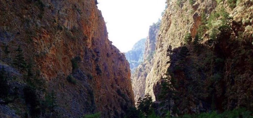 Eργα ύψους €320.000 στον Εθνικό Δρυμό Σαμαριάς Eργα ύψους €320.000 στον Εθνικό Δρυμό Σαμαριάς