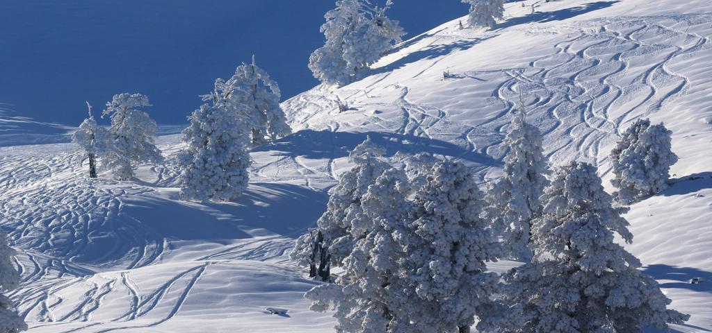 UCERT selected as preferred investor for the exploitation of Vasilitsa Ski Resort UCERT selected as preferred investor for the exploitation of Vasilitsa Ski Resort