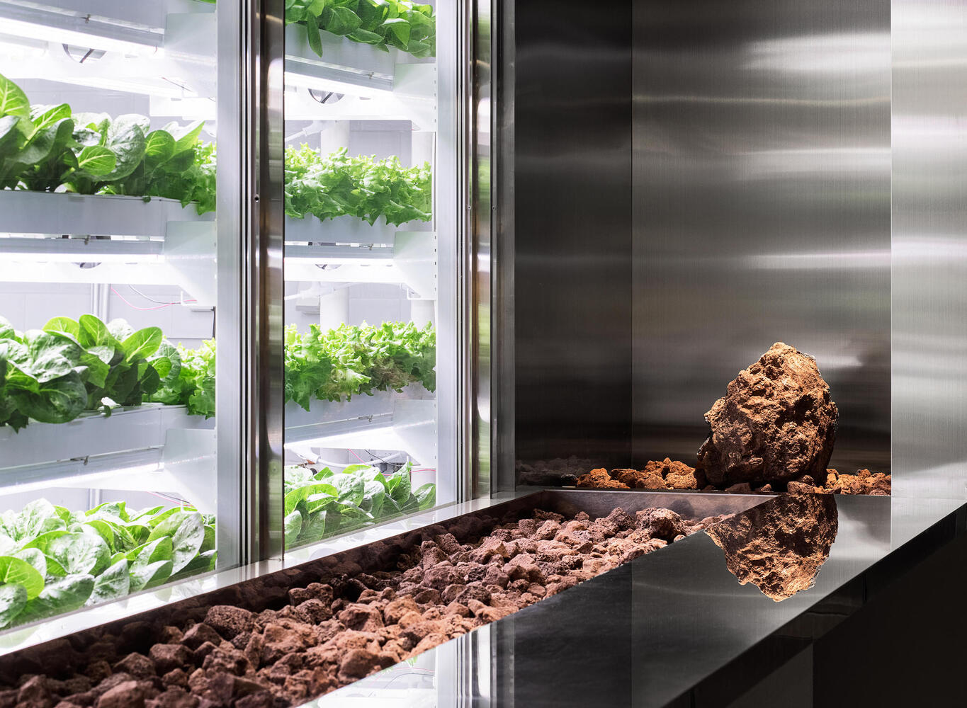 vertical-farming_2.jpg