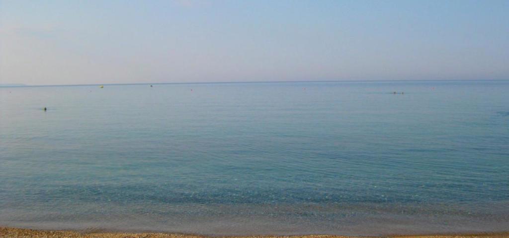 Τέσσερις προσφορές για το ακίνητο στη Νέα Ηράκλεια Χαλκιδικής Τέσσερις προσφορές για το ακίνητο στη Νέα Ηράκλεια Χαλκιδικής