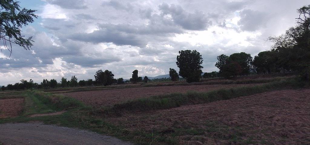 Αγροτική Γη Η βαριά μετοχή του real estate ακόμη και στην εποχή του Κορονοϊού Αγροτική Γη Η βαριά μετοχή του real estate ακόμη και στην εποχή του Κορονοϊού