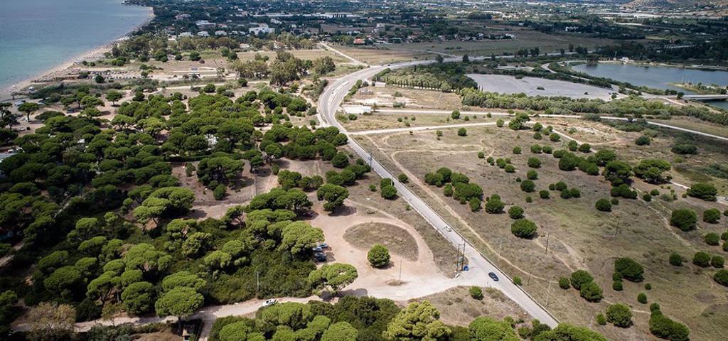 Συνταγματικός ο νόμος για τους δασικούς χάρτες Συνταγματικός ο νόμος για τους δασικούς χάρτες
