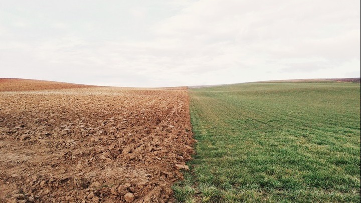 Heat stress to threaten over 70% of global agriculture by 2045