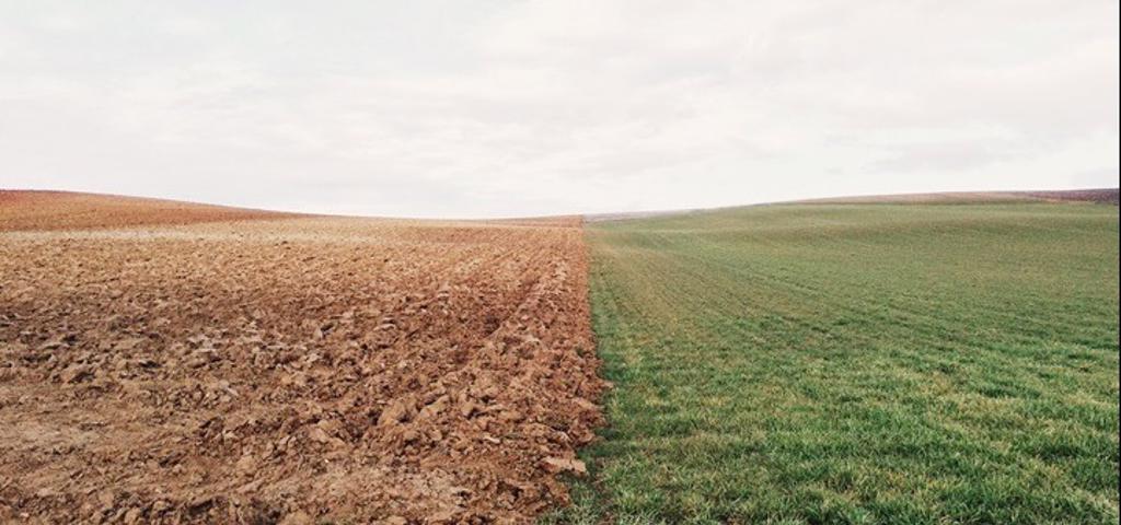 Heat stress to threaten over 70% of global agriculture by 2045