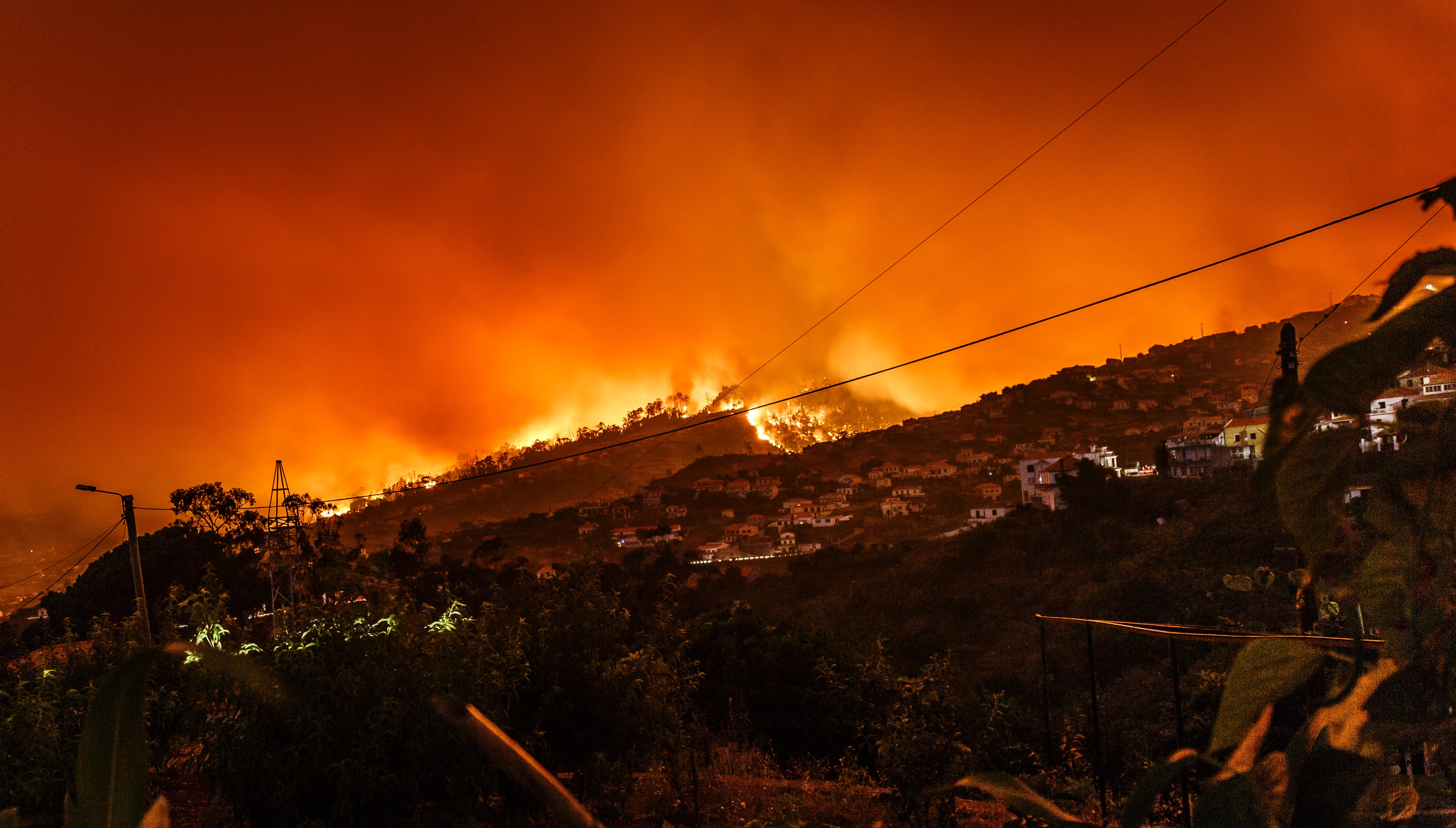 Ερευνητές κατασκεύασαν υλικό που σταματά την εξάπλωση των πυρκαγιών