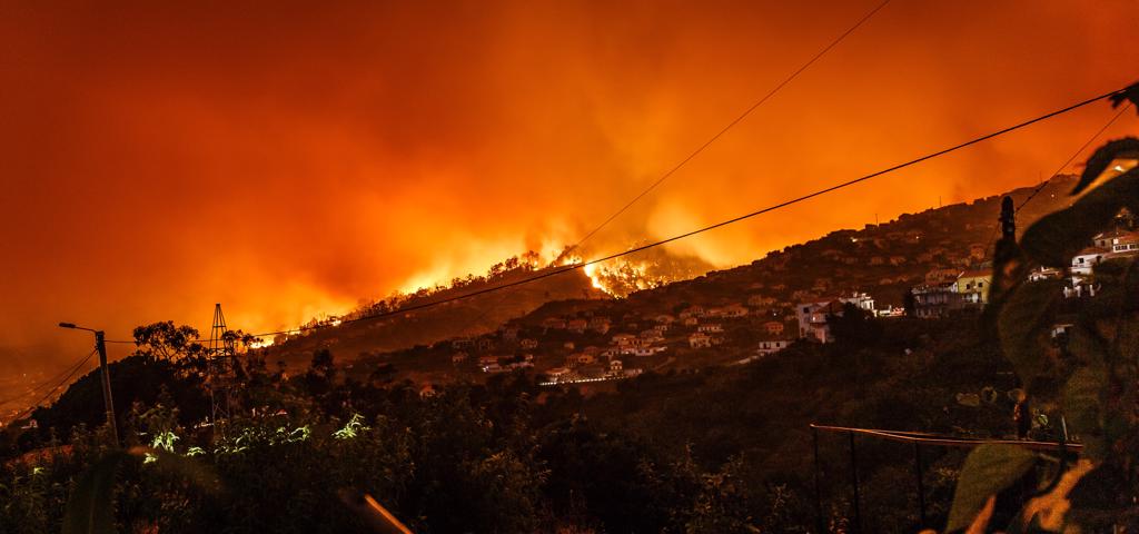 Ερευνητές κατασκεύασαν υλικό που σταματά την εξάπλωση των πυρκαγιών Ερευνητές κατασκεύασαν υλικό που σταματά την εξάπλωση των πυρκαγιών