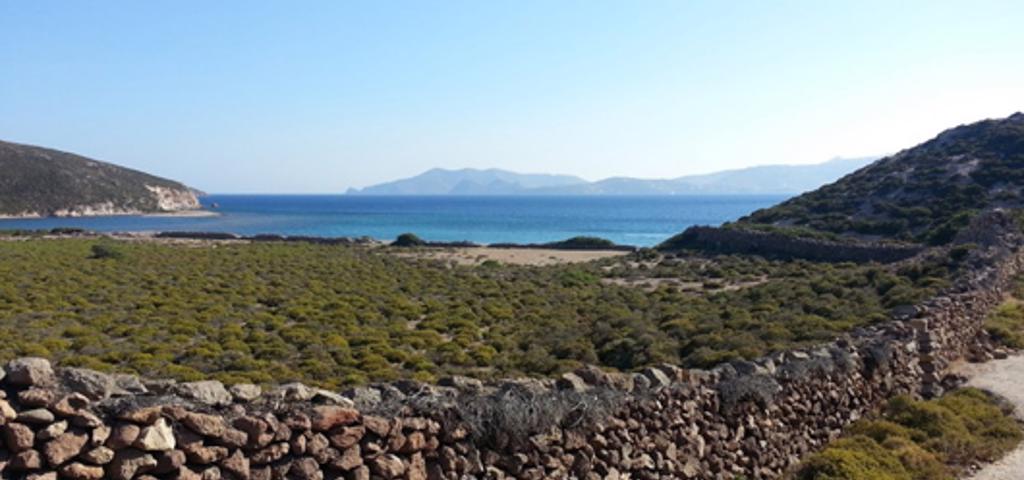 Αποφασίστηκαν οι περιοχές από τις οποίες ξεκινά ο Πολεοδομικός σχεδιασμός   Αποφασίστηκαν οι περιοχές από τις οποίες ξεκινά ο Πολεοδομικός σχεδιασμός