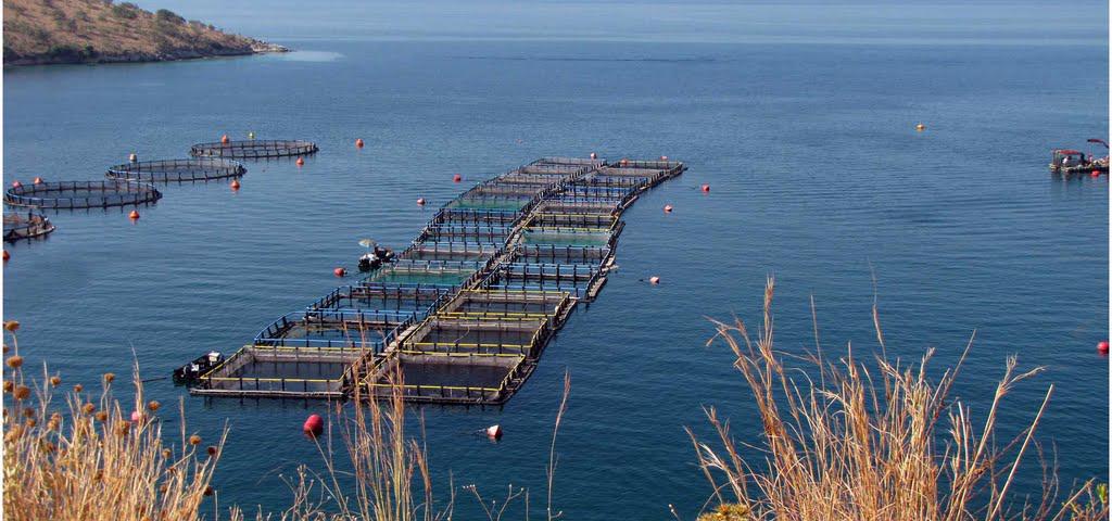 Κατά της αδειοδότησης για τη μονάδα ασφαλτικών προσφεύγει η Περιφέρεια Ηπείρου Κατά της αδειοδότησης για τη μονάδα ασφαλτικών προσφεύγει η Περιφέρεια Ηπείρου