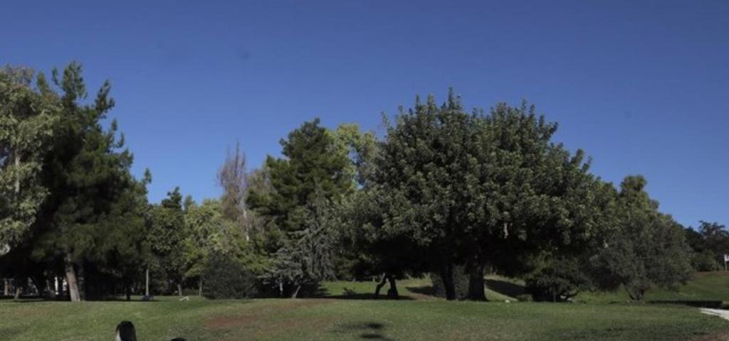 Πάρκο 60 στρεμ. δημιουργεί ο Δήμος Παλλήνης  Πάρκο 60 στρεμ. δημιουργεί ο Δήμος Παλλήνης