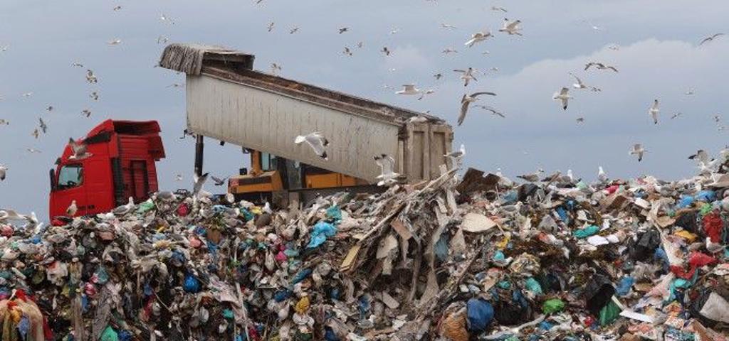 Μεγάλη ευρωπαϊκή πρωτεύουσα δίνει κίνητρα στους τουρίστες για να μαζεύουν σκουπίδια   Μεγάλη ευρωπαϊκή πρωτεύουσα δίνει κίνητρα στους τουρίστες για να μαζεύουν σκουπίδια